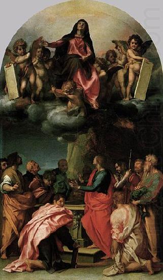 Andrea del Sarto Assumption of the Virgin china oil painting image